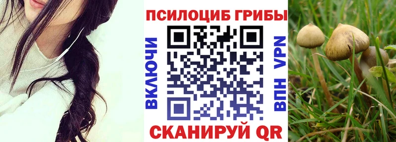 Псилоцибиновые грибы ЛСД  Купить  Ростов 